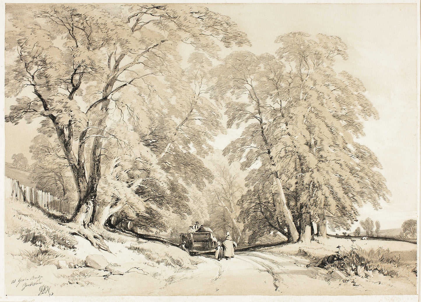 Ash, from The Park and the Forest -  James Duffield Harding (English, 1798-1863),  Poster Print Wall Art