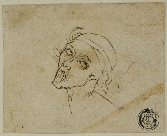 Male Head: Possibly after Michelangelo Buonarroti,16x12