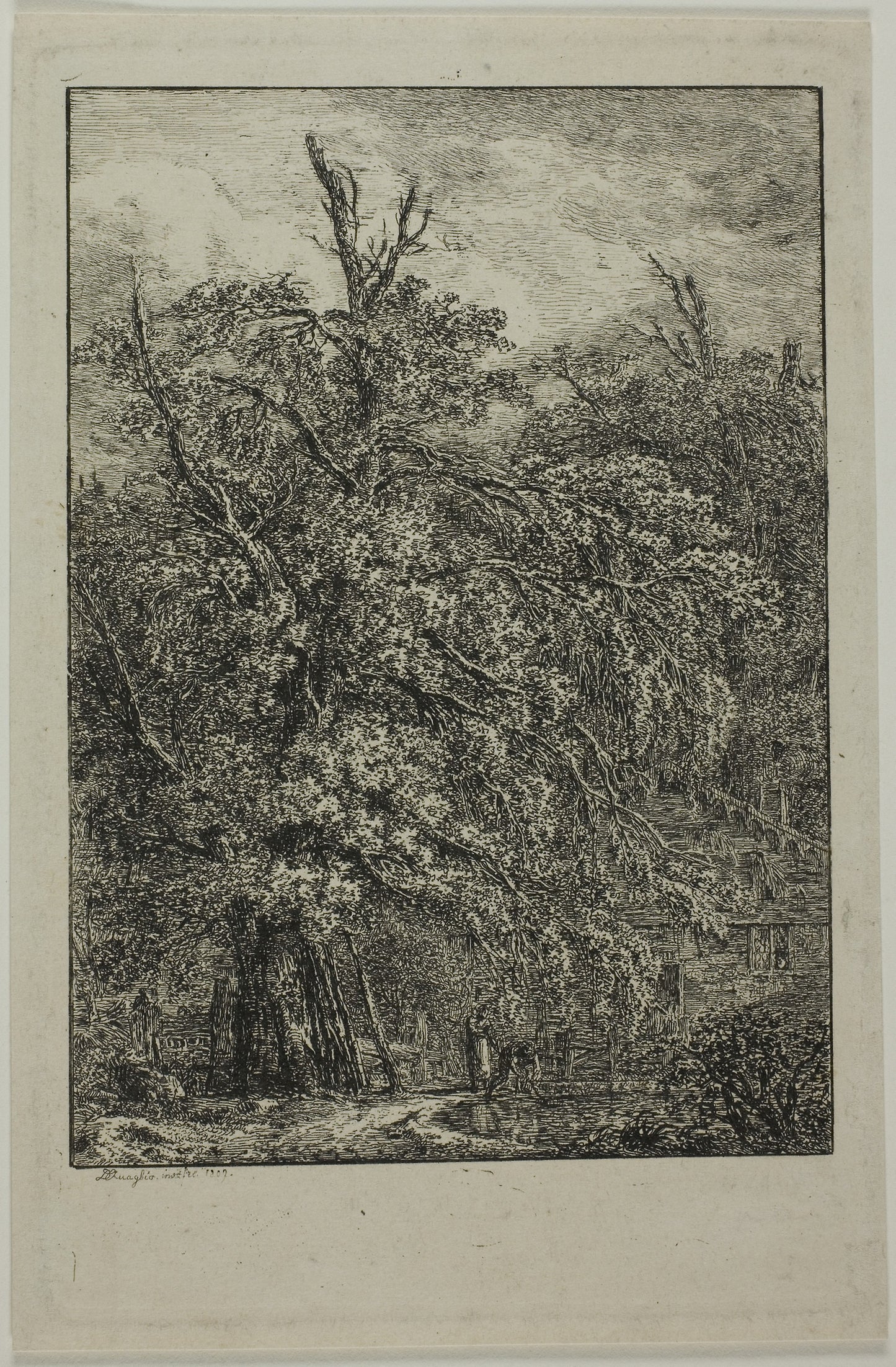 Great Tree -  Domenico Quaglio II,  Poster Print Wall Art