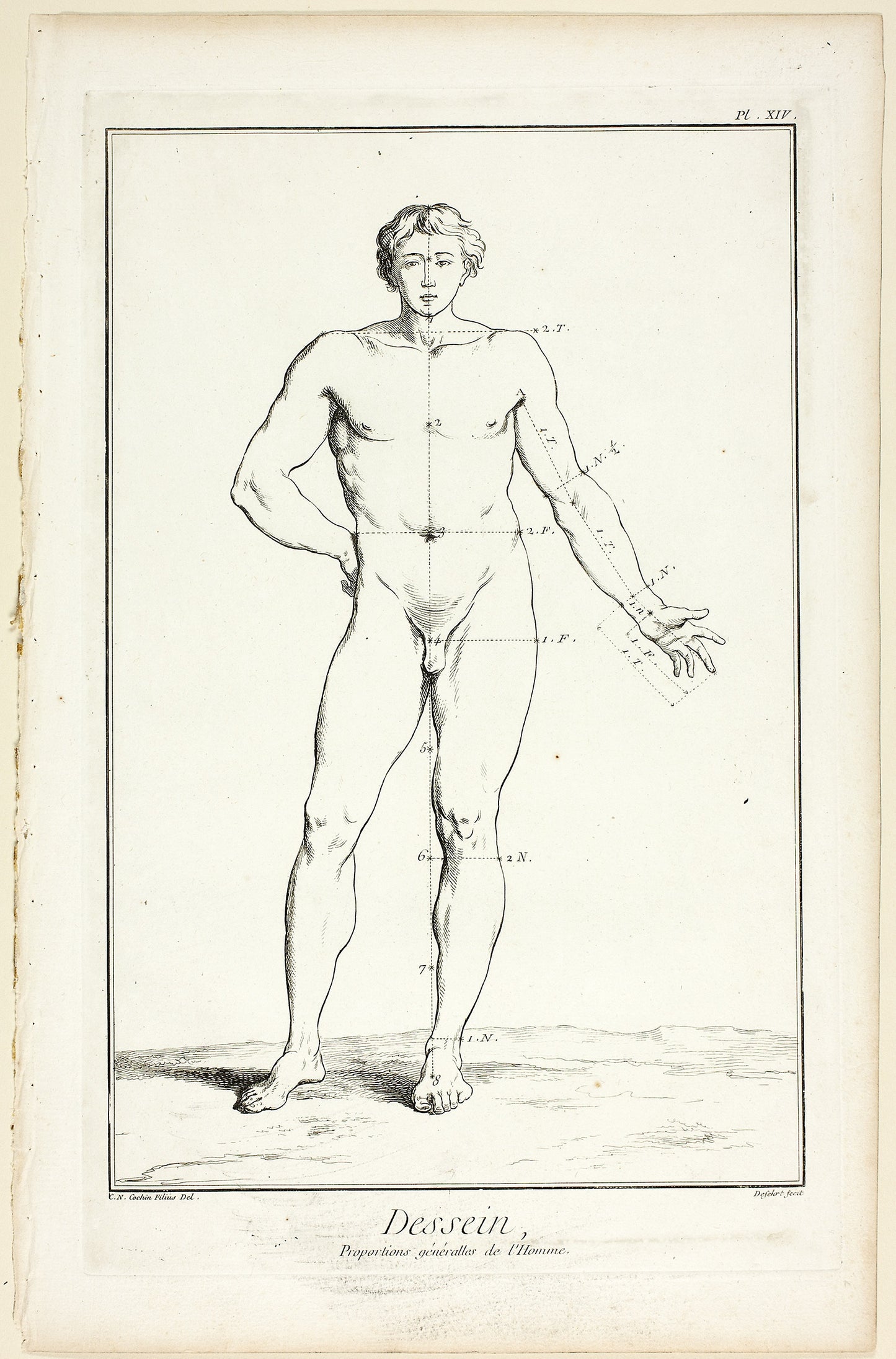 Design: General Proportions of the Male, from Encyclopédie: A. J. Defehrt (French, active 18th century), Poster Print Wall Art