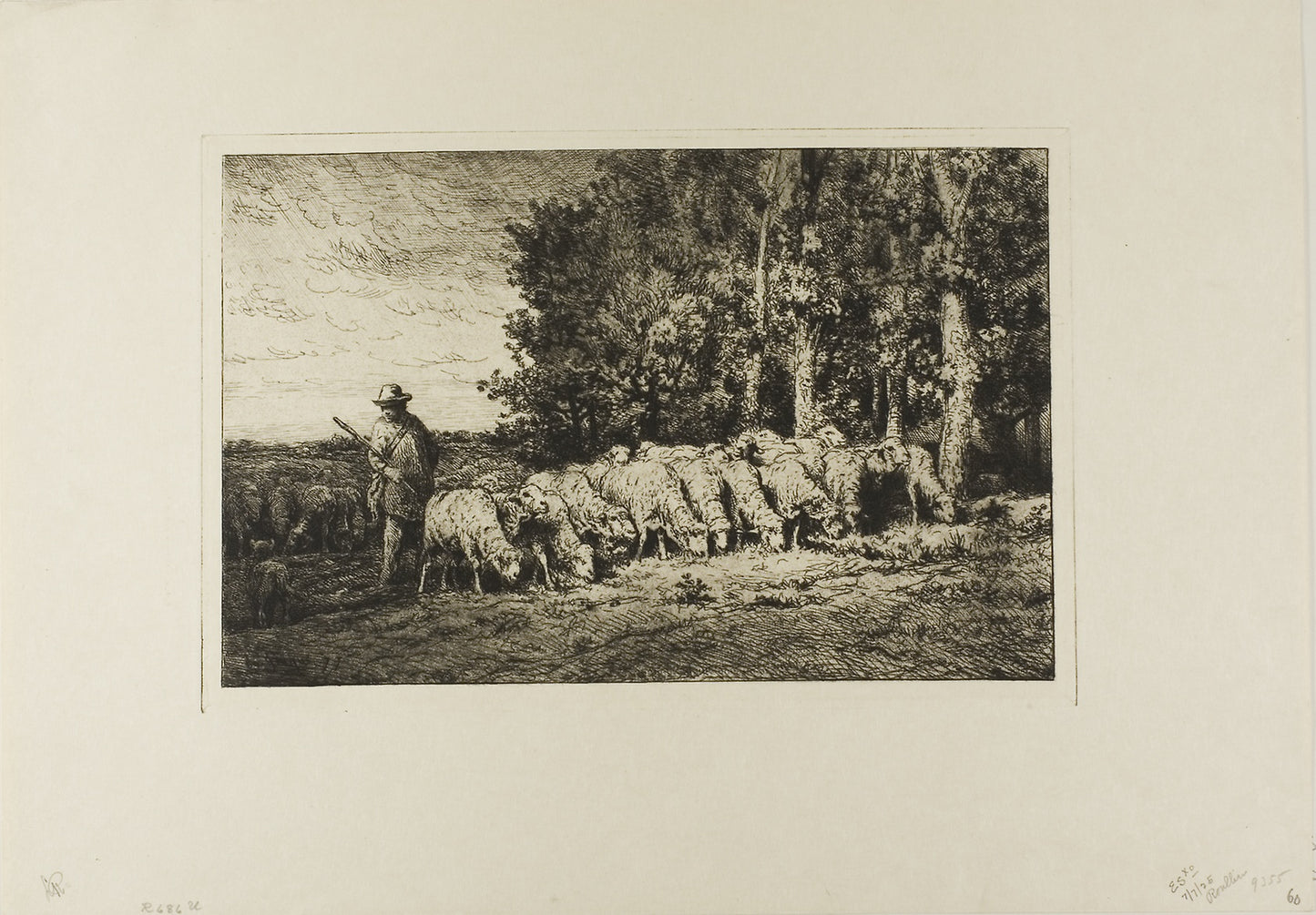 Flock of Sheep at the Edge of a Wood -  Charles Émile Jacque,  Poster Print Wall Art