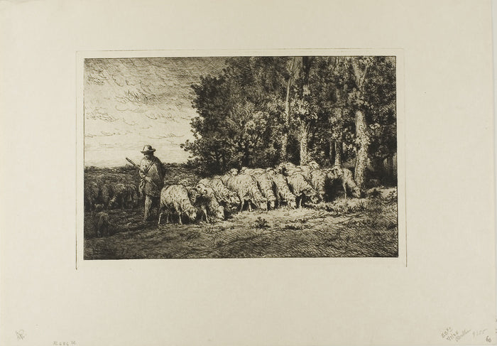 Flock of Sheep at the Edge of a Wood: Charles Émile Jacque,16x12