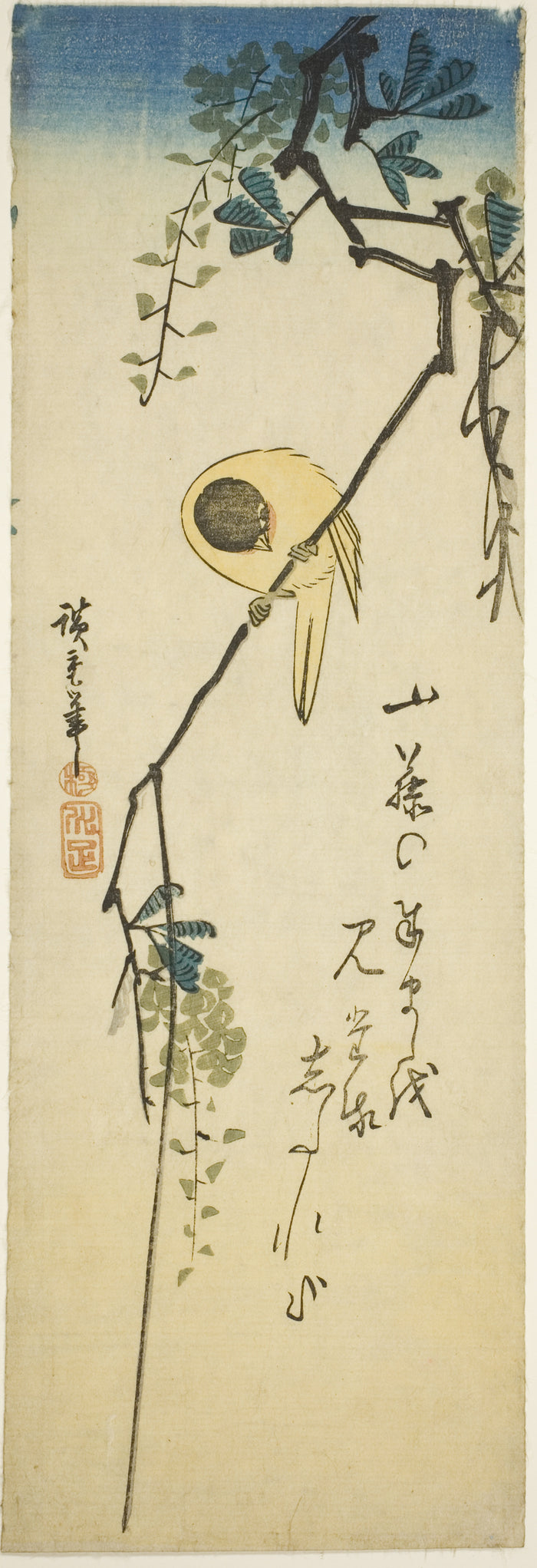 Bird on silky wisteria: Utagawa Hiroshige ?? ??,16x12