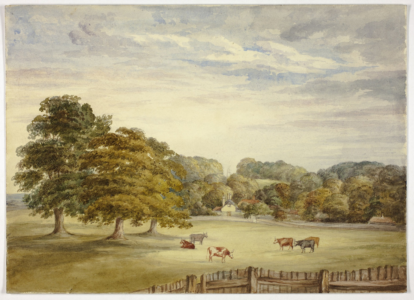 Six Cows Grazing before Country House -  Elizabeth Murray,  Poster Print Wall Art