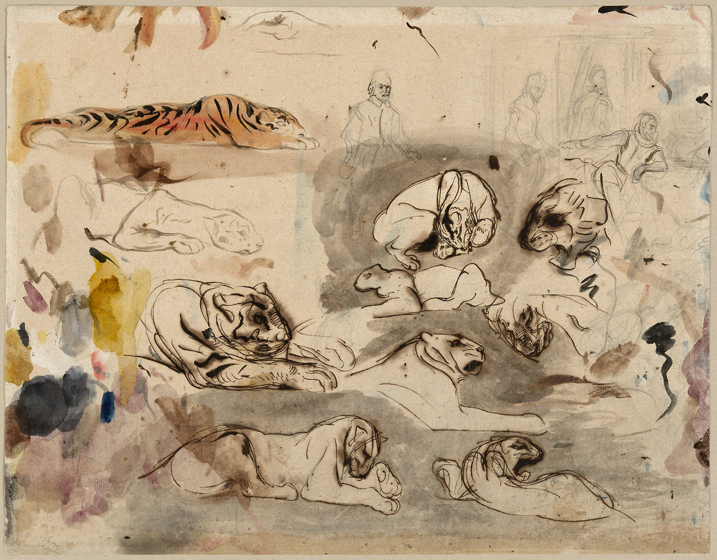 Sketches of Tigers and Men in 16th Century Costume -  Eugène Delacroix,  Poster Print Wall Art