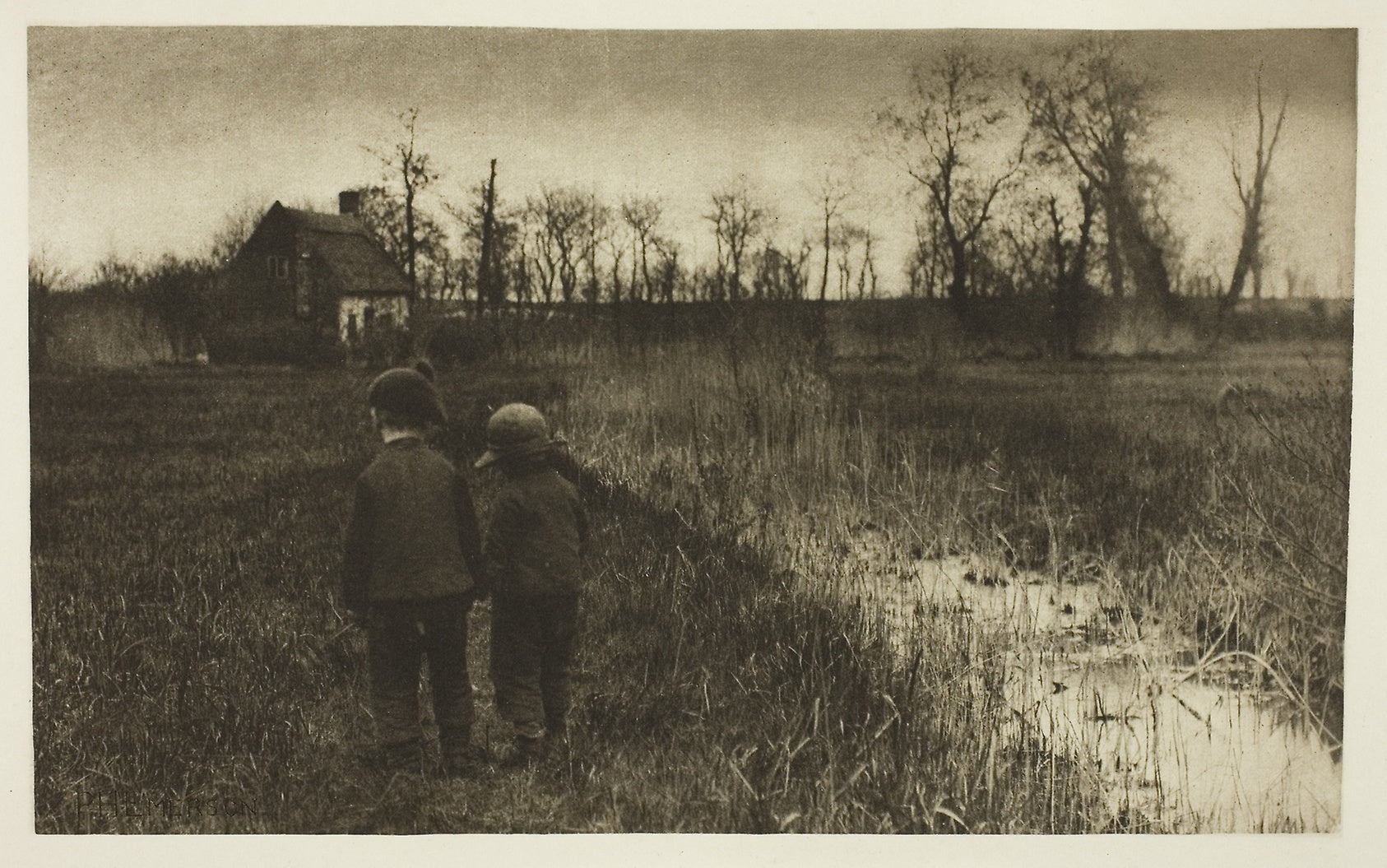 A Toad in the Path: Early Spring in Norfolk: Peter Henry Emerson,16x12"(A3) Poster