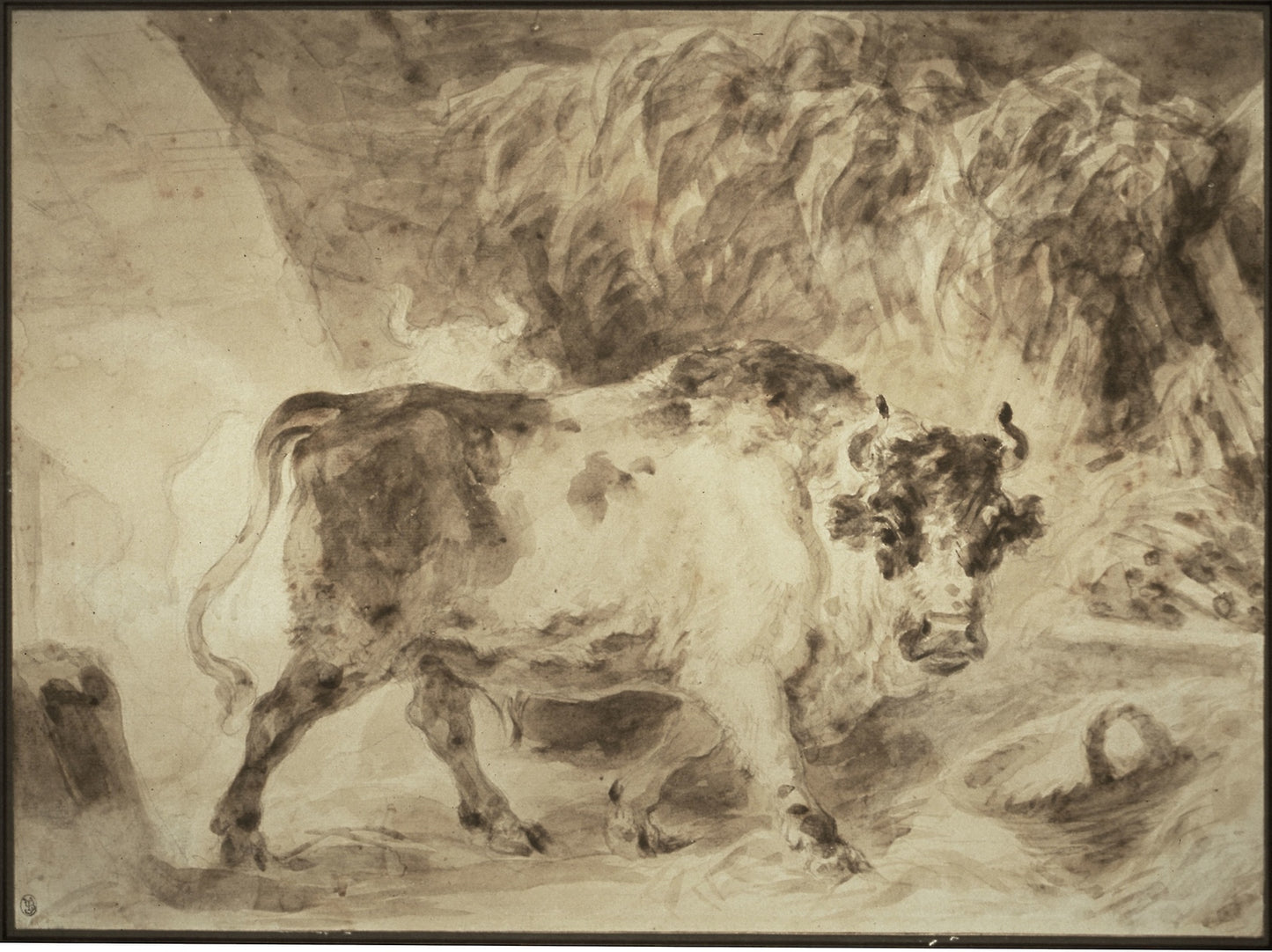 Bull of the Roman Campagna -  Jean Honoré Fragonard,  Poster Print Wall Art