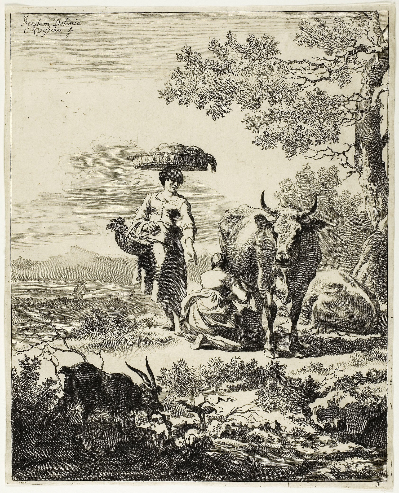 Woman Milking a Cow: Cornelis Visscher (Dutch, c. 1629-1658),16x12"(A3) Poster