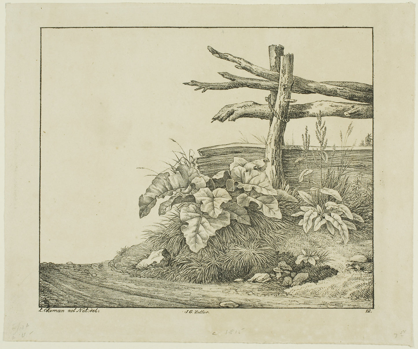 Landscape with Flora and Rustic Fence near Roadside -  Lorenz Ekemann Alesson,  Poster Print Wall Art