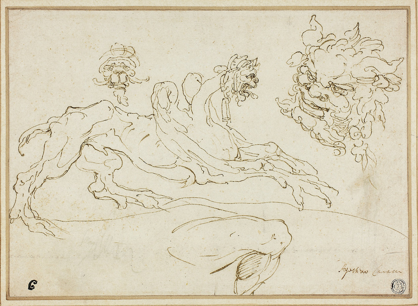 Four Sketches -  Griffin, Grotesque Head, Head of Satyr, Bent Leg -  Attributed to Agostino Carracci,  Poster Print Wall Art