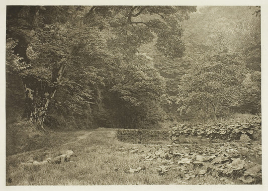 A Quiet Nook in Beresford Dale: Peter Henry Emerson,16x12"(A3) Poster