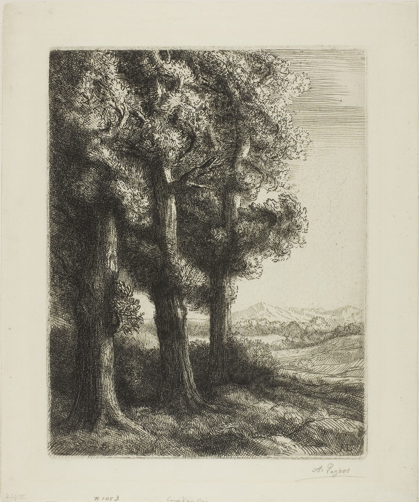Edge of a Wood -  Alphonse Legros,  Poster Print Wall Art