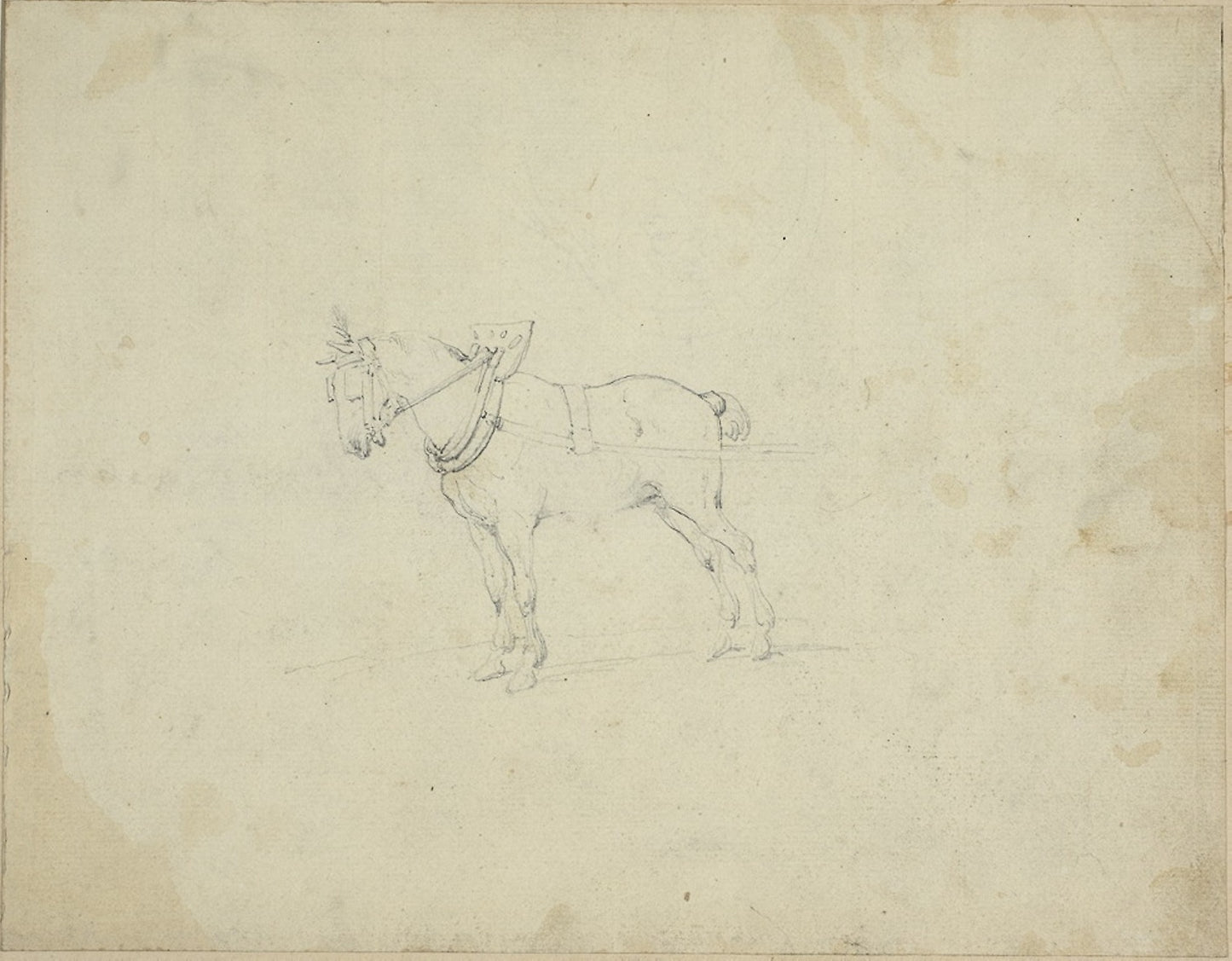 Draught Horse -  Jean Louis André Théodore Géricault,  Poster Print Wall Art