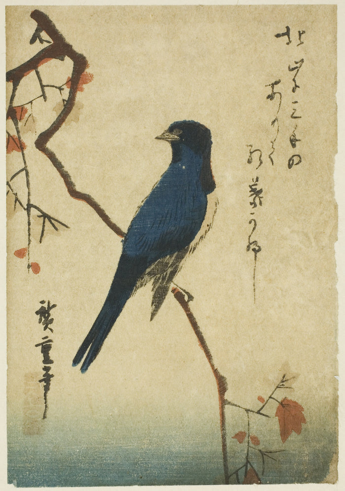 Blue bird on maple branch: Utagawa Hiroshige ?? ??,16x12