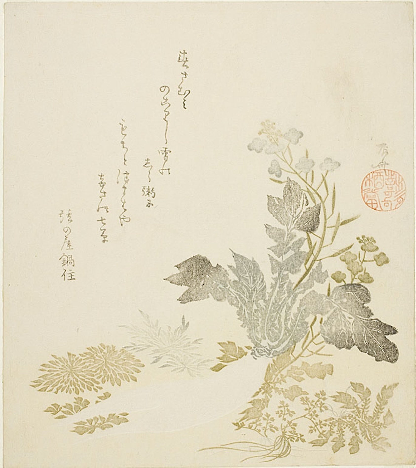 A Giant Radish (daikon), Chrysanthemums and Ferns: Ryuryukyo Shinsai,16x12"(A3) Poster