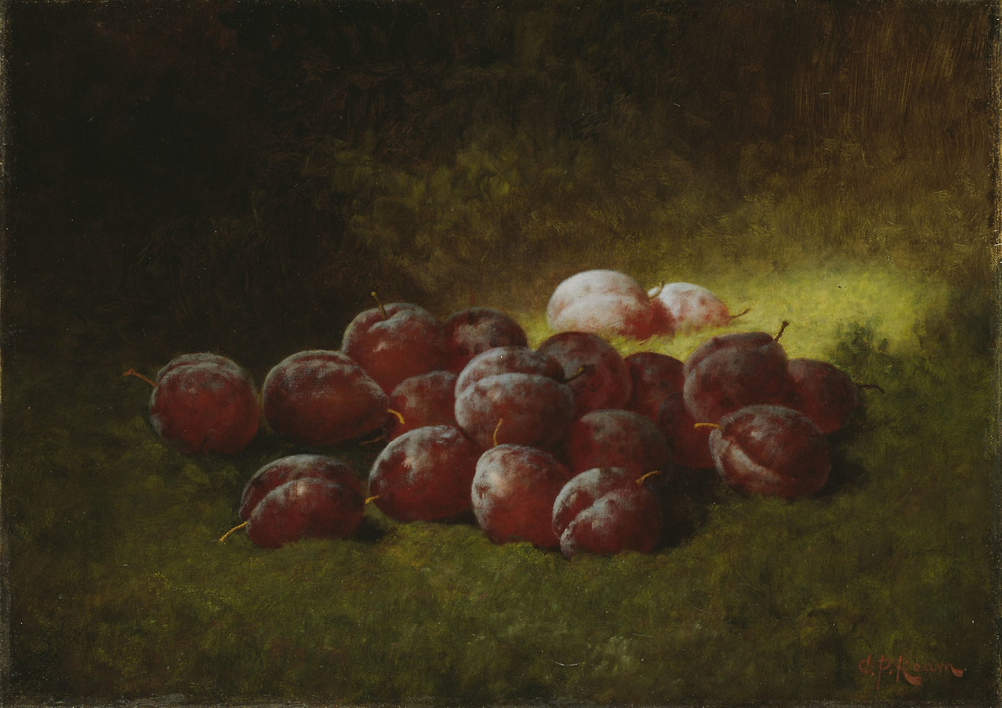 Purple Plums -  Cadurcis Plantagenet Ream,  Poster Print Wall Art