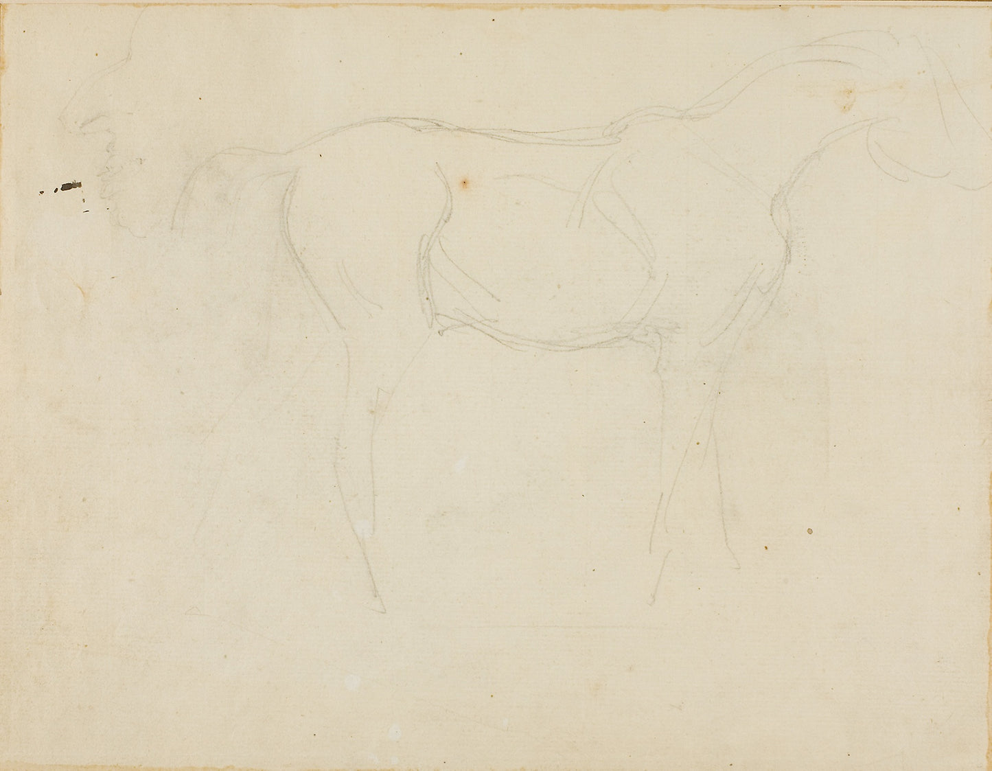 Sketch of a Horse Facing Right and a Caricature in Profile -  Jean Louis André Théodore Géricault,  Poster Print Wall Art