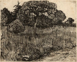 Weeping Tree: Vincent van Gogh,16x12"(A3) Poster