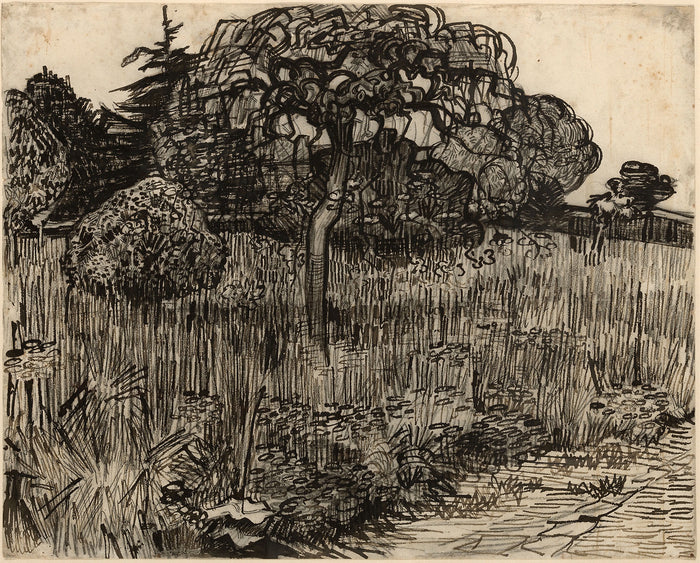 Weeping Tree: Vincent van Gogh,16x12