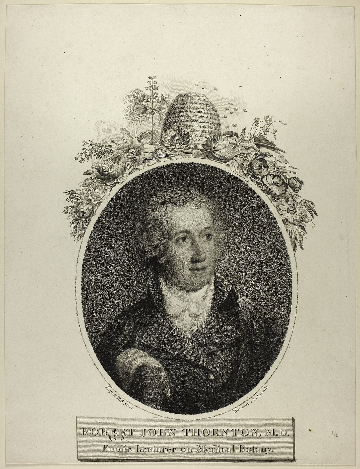 R. J. Thornton -  Francesco Bartolozzi,  Poster Print Wall Art