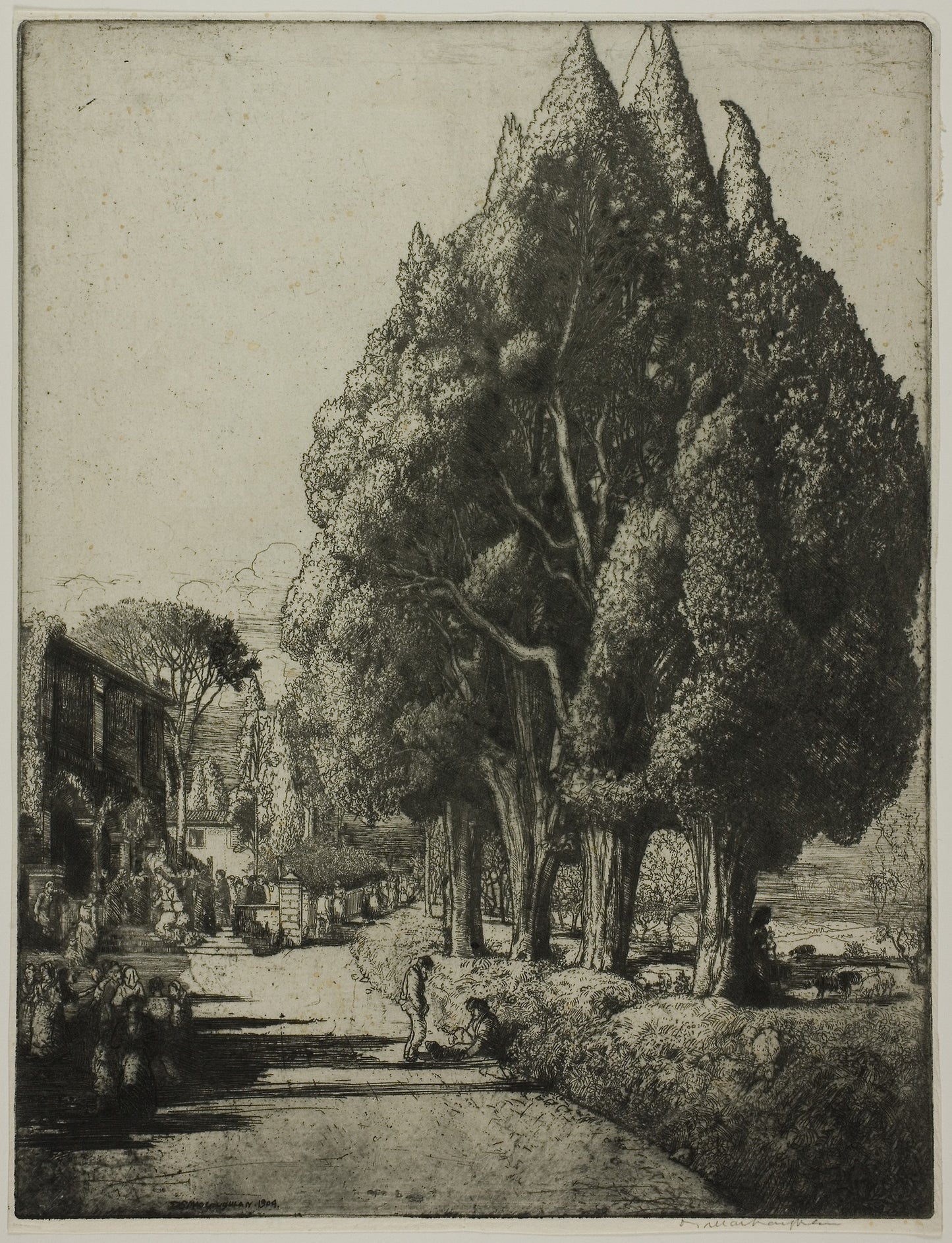 The Cypress Grove -  Donald Shaw MacLaughlan,  Poster Print Wall Art