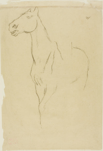 Horse Turned Three-Quarters: Edgar Degas,16x12"(A3) Poster