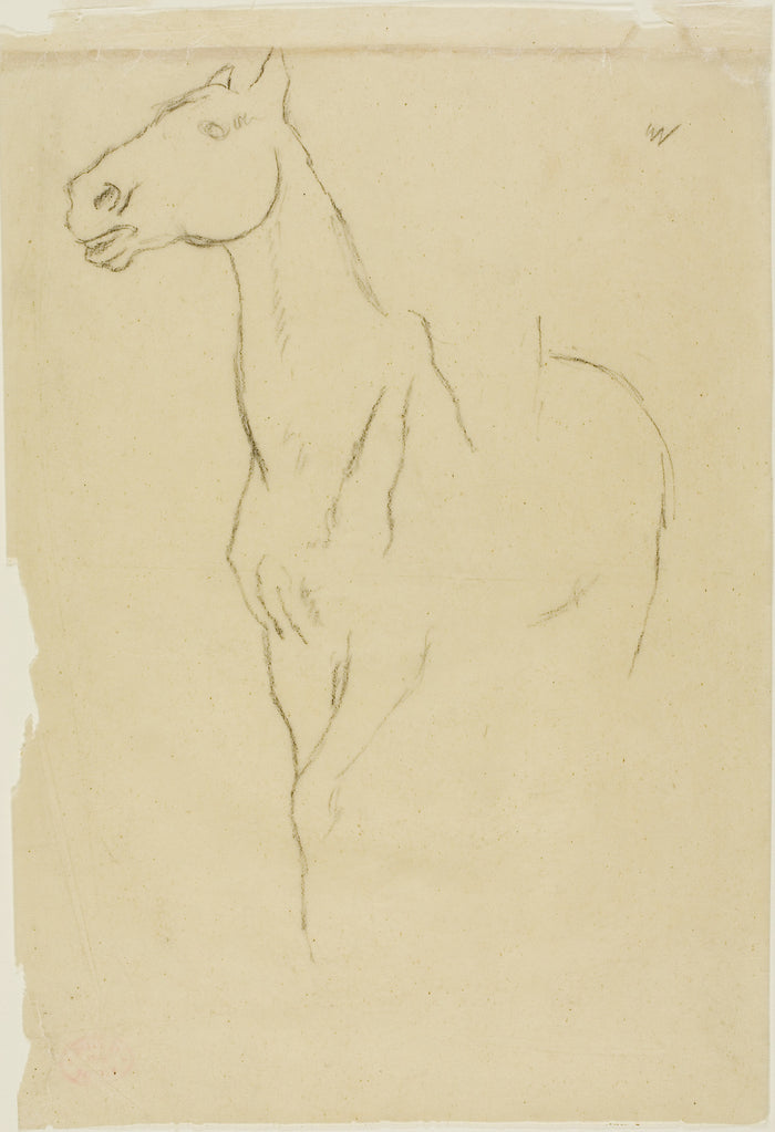 Horse Turned Three-Quarters: Edgar Degas,16x12