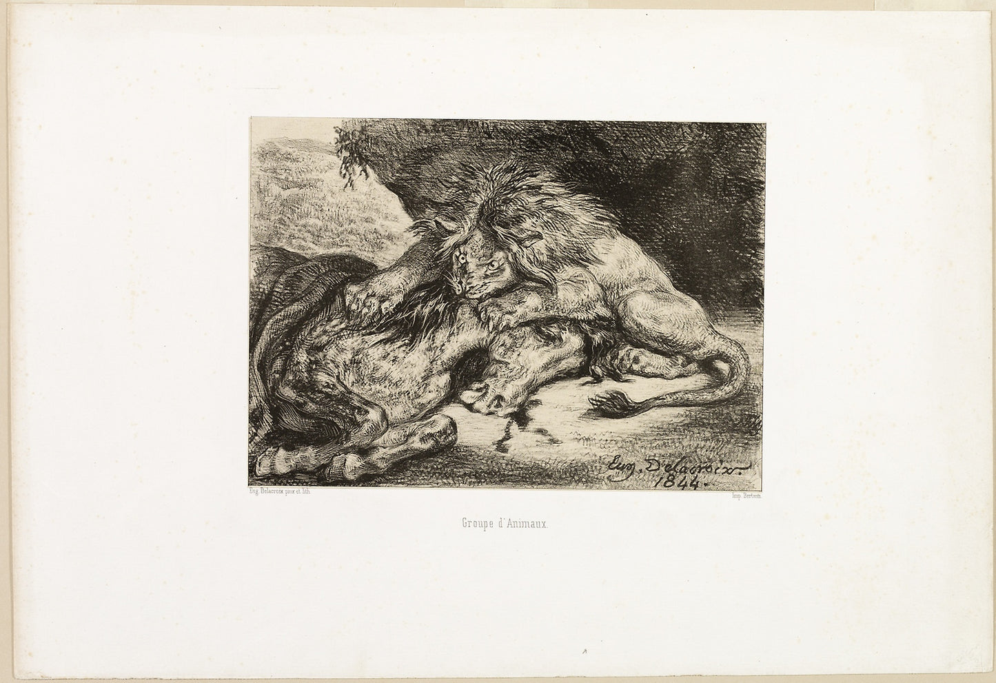 Lion Devouring a Horse -  Eugène Delacroix,  Poster Print Wall Art