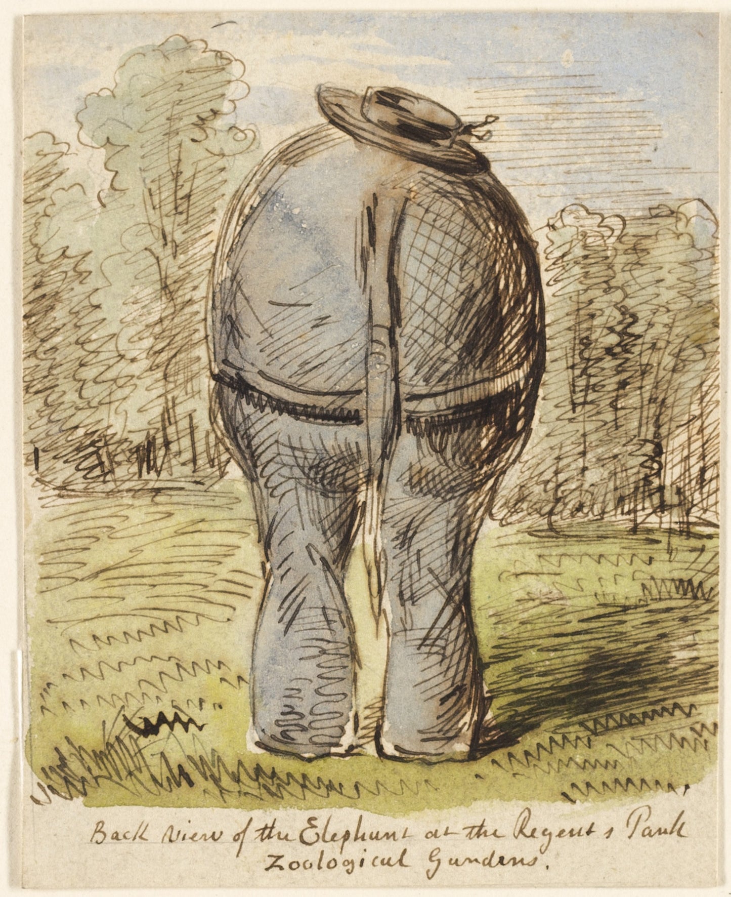 Back View of the Elephant at the Regent's Park Zoological -  John Leech,  Poster Print Wall Art