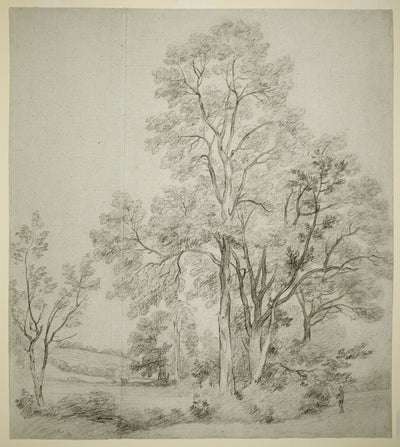A Stand of Elm Trees (recto); A Study of East Bergholt with the Church (verso) by  John Constable, 23x16"( A2 size) Poster Print