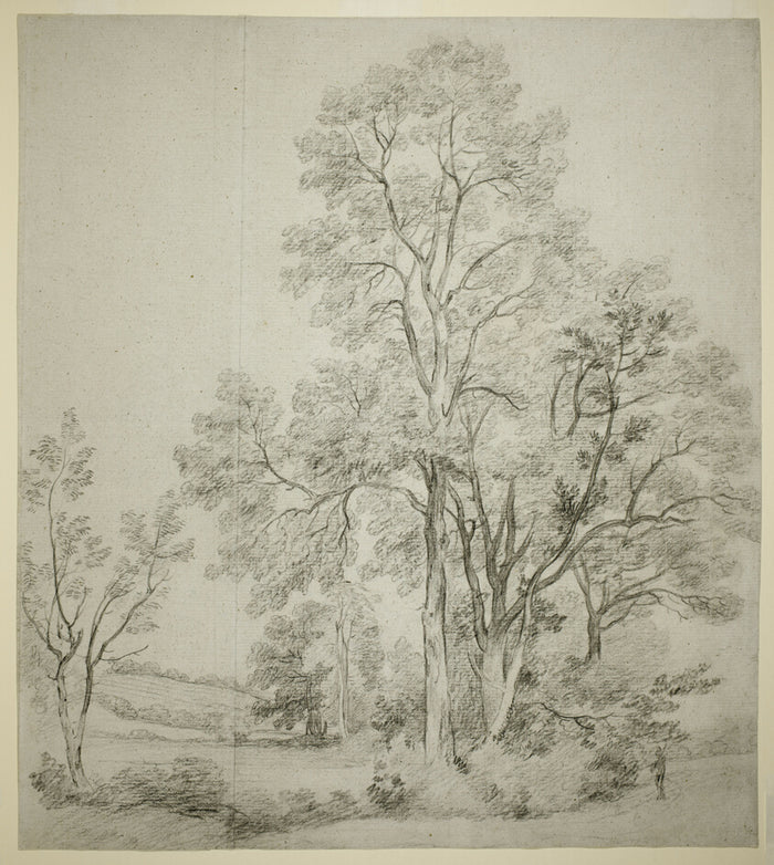 A Stand of Elm Trees (recto); A Study of East Bergholt with the Church (verso) by  John Constable, 23x16