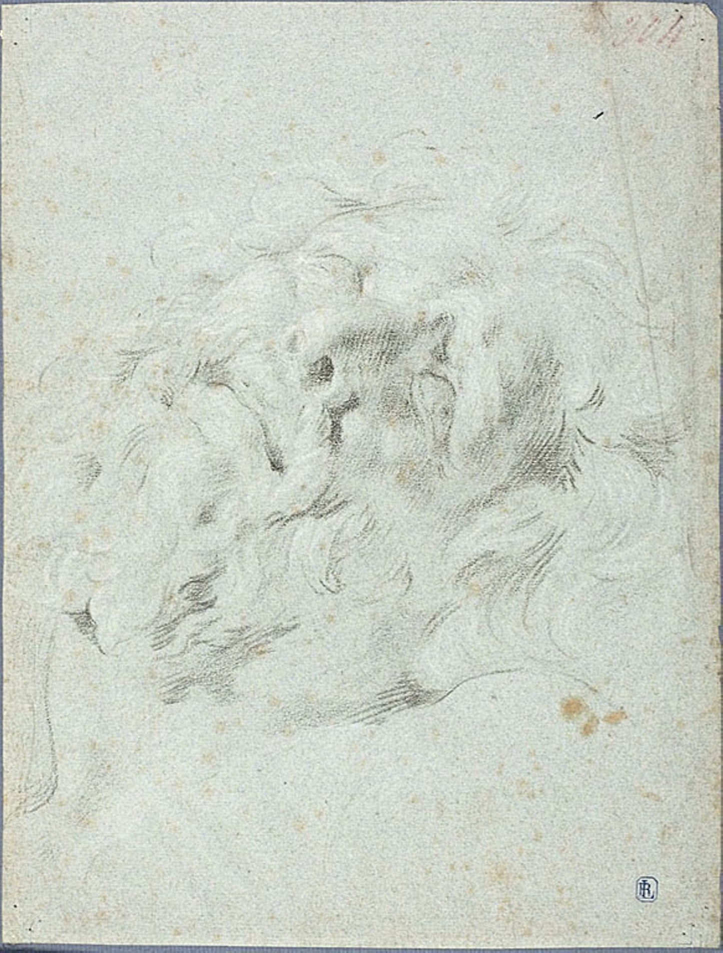 Head from Laocoon Group -  Anton Domenico Gabbiani,  Poster Print Wall Art