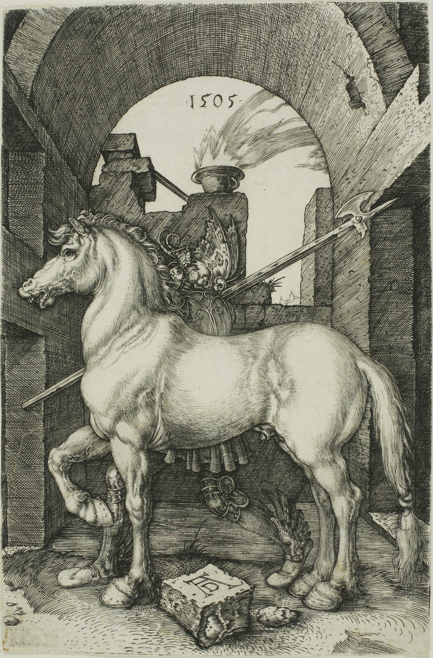 The Small Horse -  Albrecht Dürer,  Poster Print Wall Art