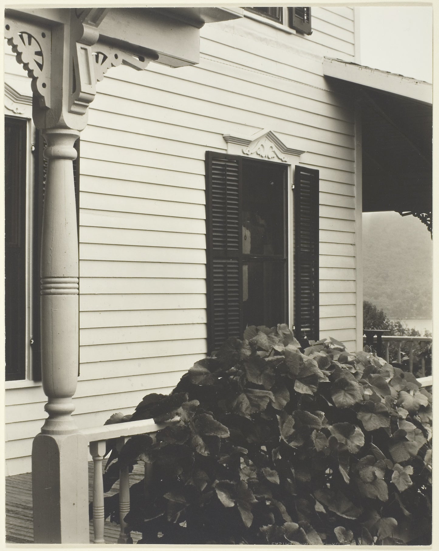 House and Grape Leaves -  Alfred Stieglitz,  Poster Print Wall Art