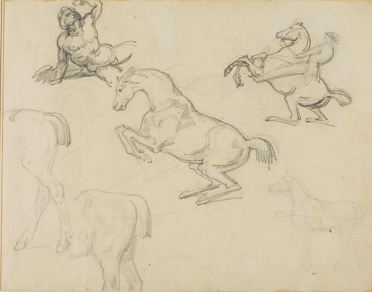 Sketches -  Reclining Nude, a Horseman and Various Horses -  Jean Louis André Théodore Géricault,  Poster Print Wall Art