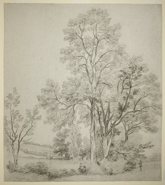 A Stand of Elm Trees (recto); A Study of East Bergholt with the Church (verso): John Constable,16x12"(A3) Poster