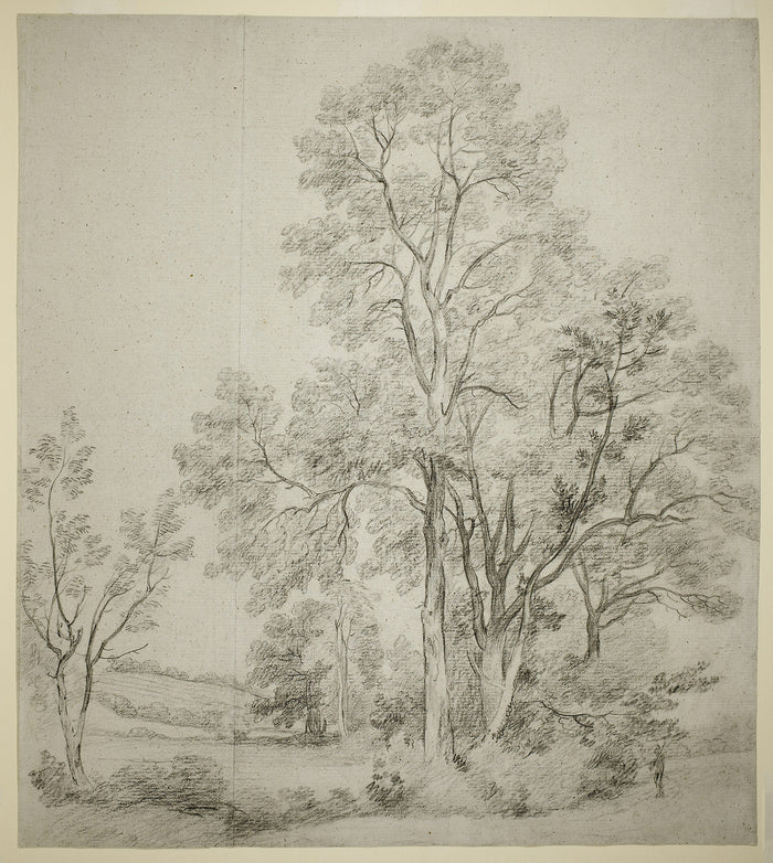 A Stand of Elm Trees (recto); A Study of East Bergholt with the Church (verso): John Constable,16x12