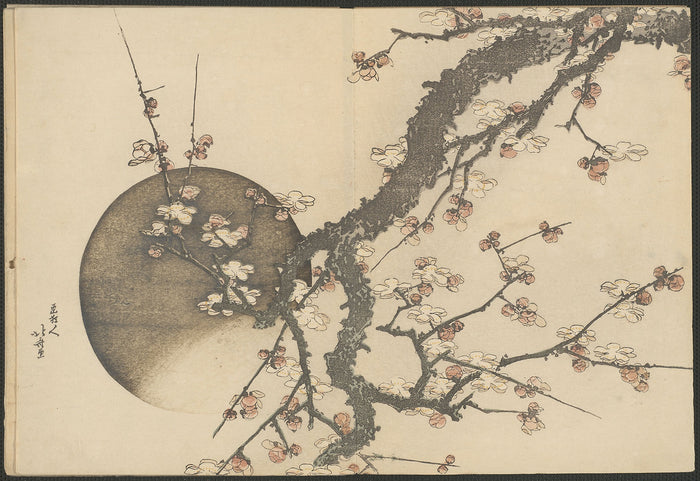 Plum Blossom and the Moon from the Book Mount Fuji in Spring (Haru no Fuji): Katsushika Hokusai,16x12