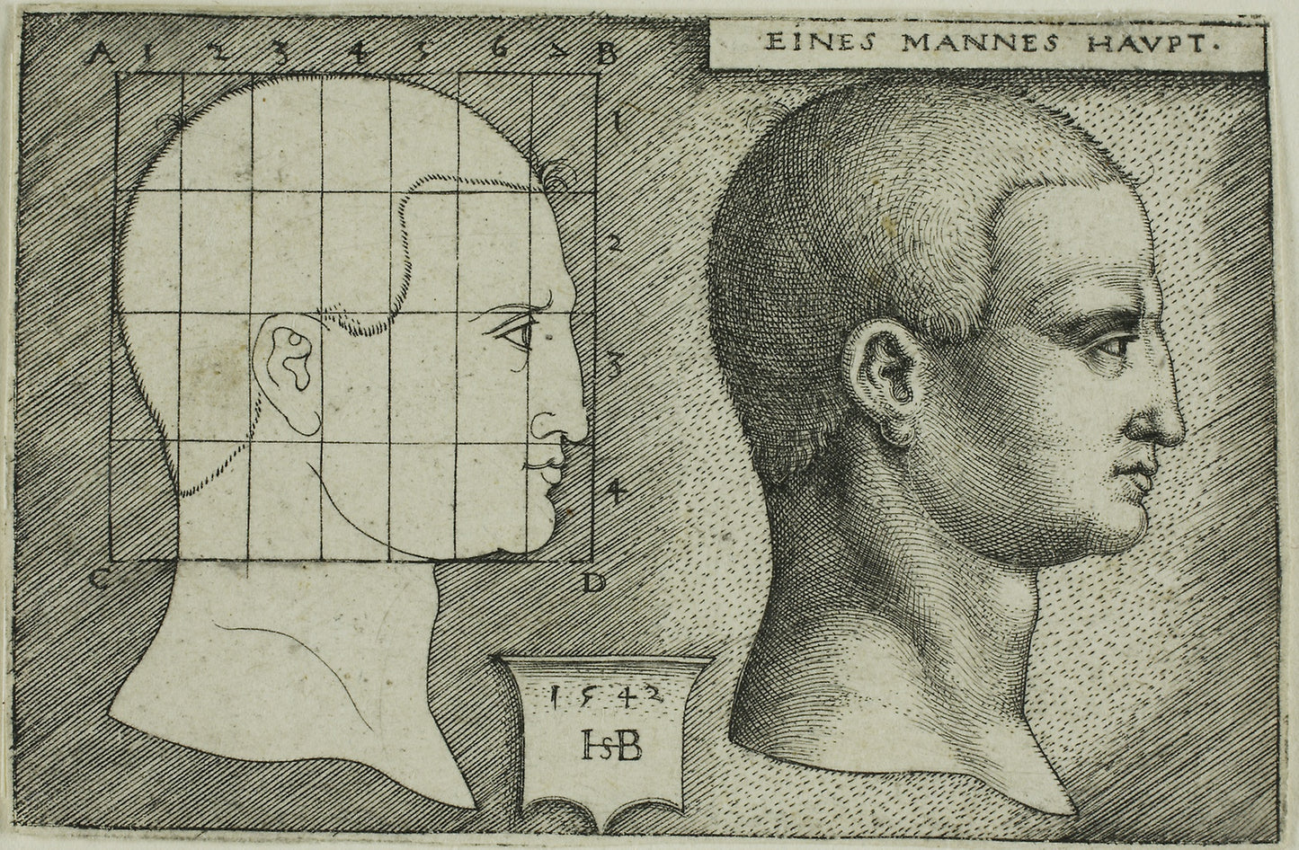 Profile Study of Man's Head -  Sebald Beham,  Poster Print Wall Art