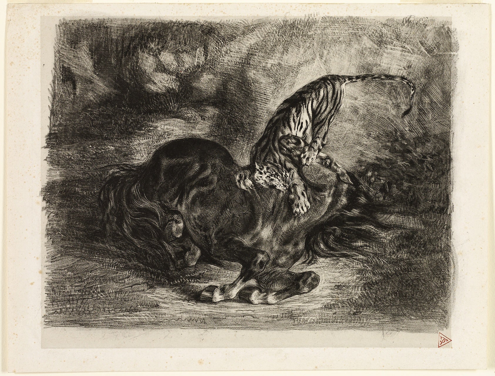 Wild Horse Brought Down: a Tiger: Eugène Delacroix,16x12"(A3) Poster