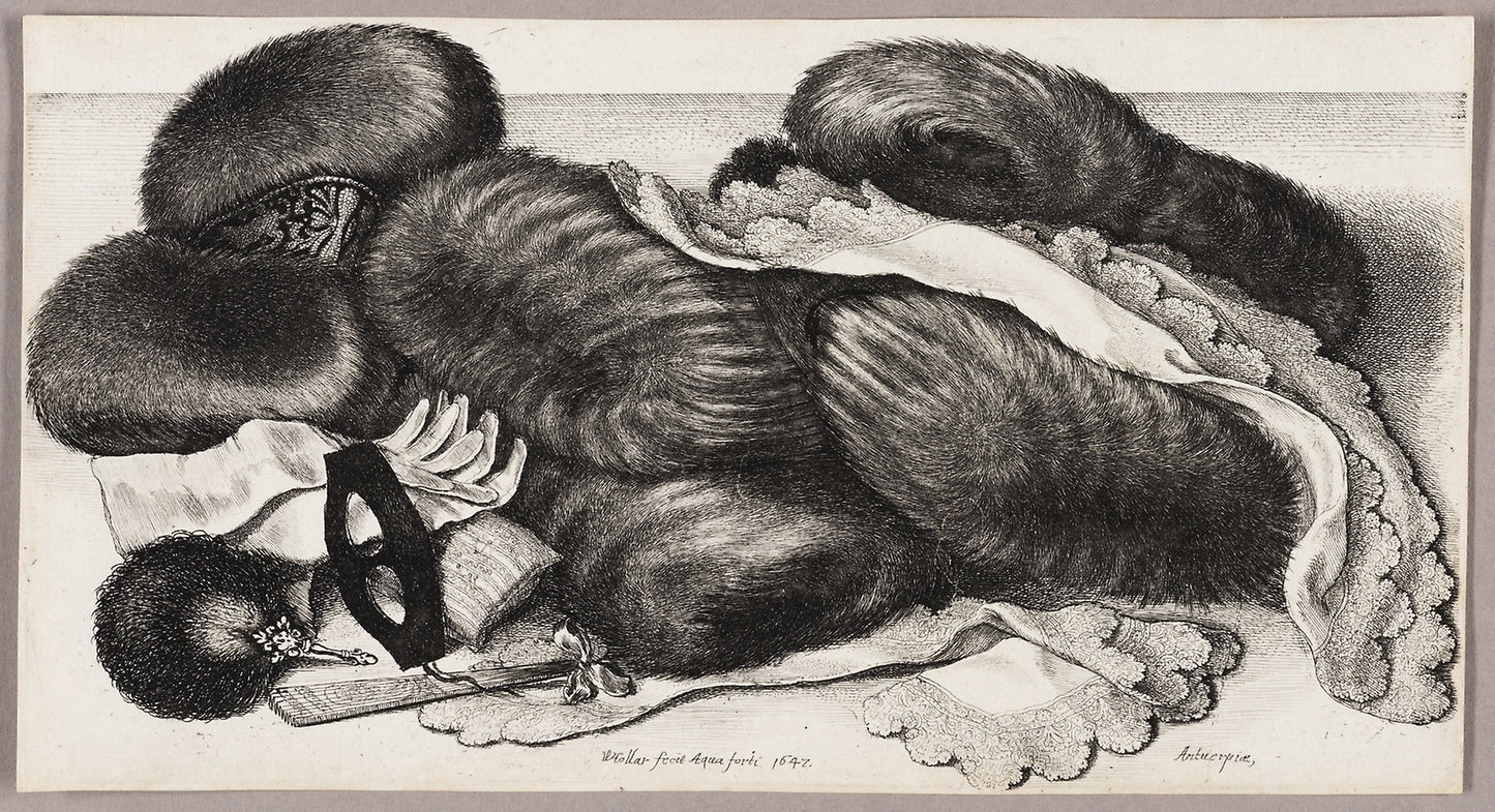 Still-Life with a Group of Muffs, a Pair of Gloves, and Two Kerchiefs -  Wenceslaus Hollar,  Poster Print Wall Art