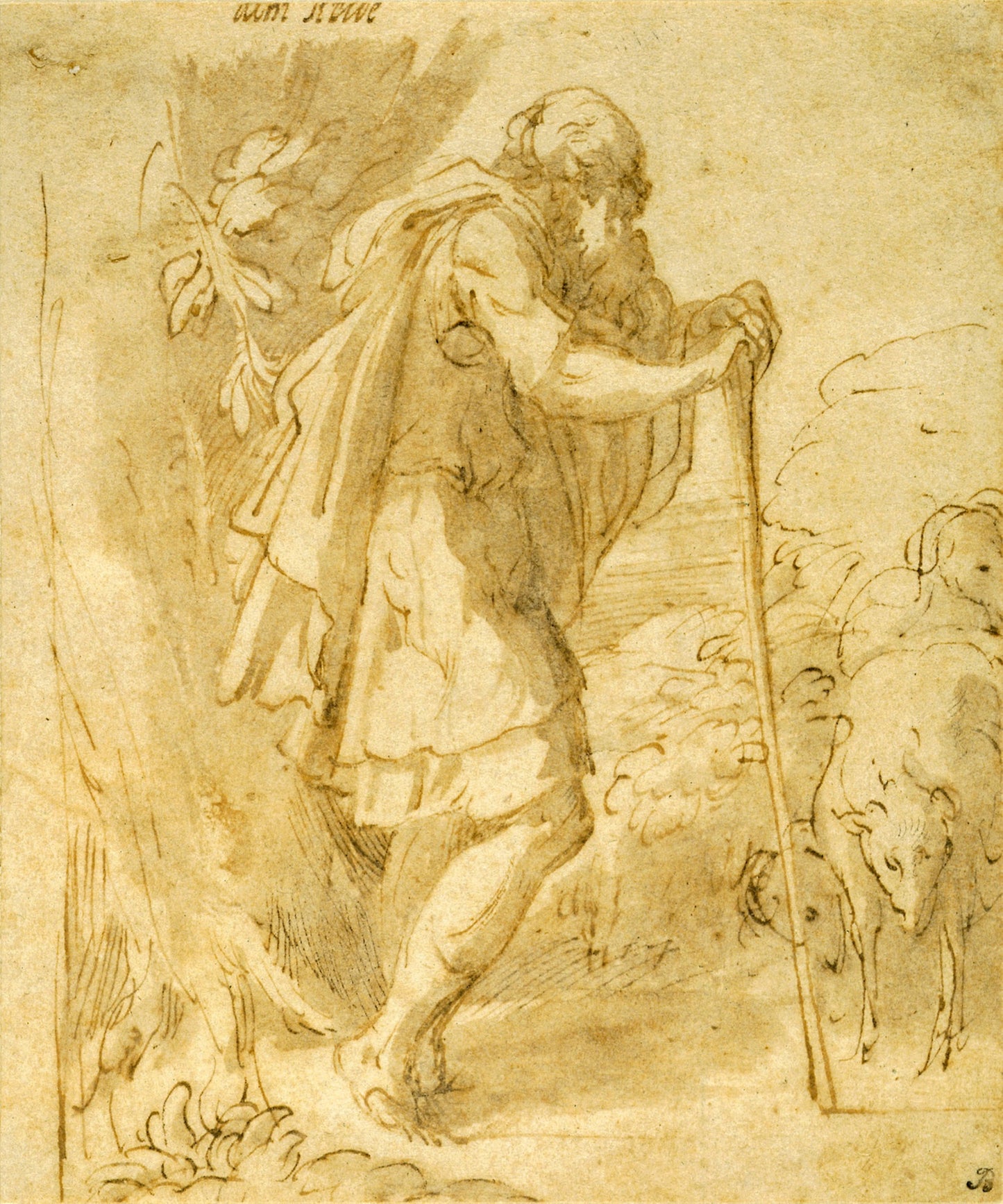 Old Shepherd Leaning on a Staff -  Francesco Mazzola, called Parmigianino,  Poster Print Wall Art