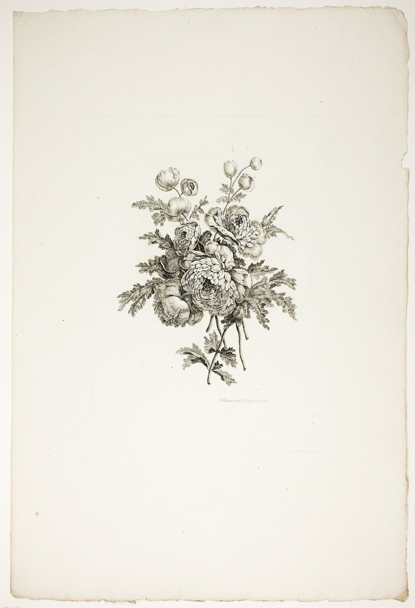 Bouquet with Peonies, from Collection of Different Bouquets of Flowers, Invented and Drawn -  Jean Pillement and Engraved -  P. C. Canot -  Pierre-Charles Canot (French, 1710-1777),  Poster Print Wall Art