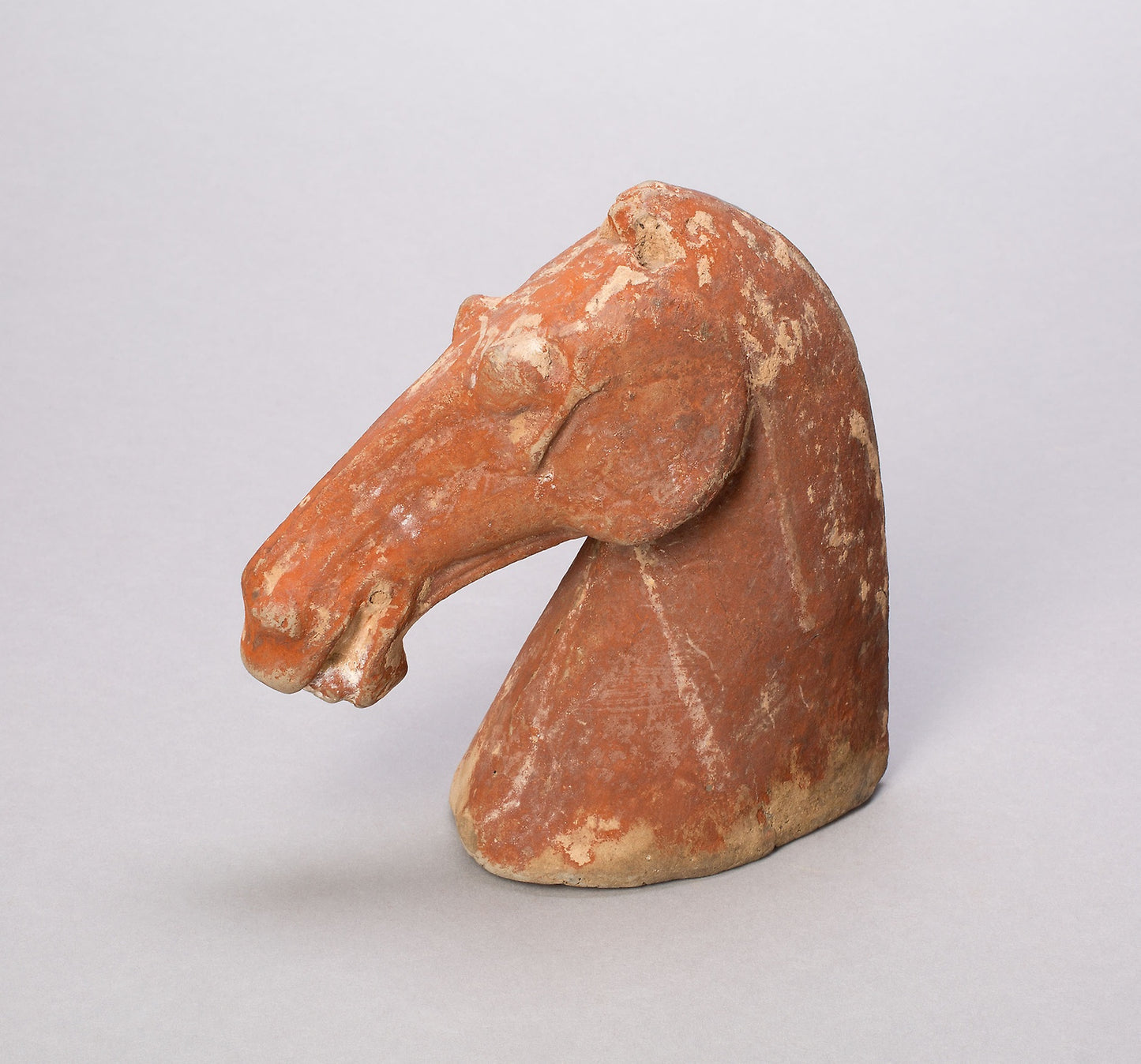 Head of a Horse -  China,  Poster Print Wall Art