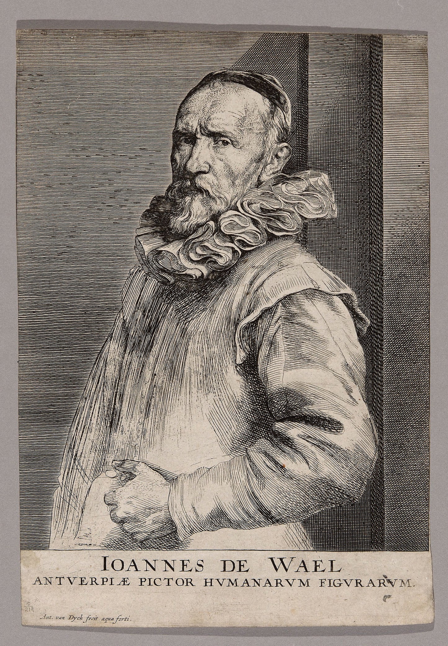 Jan de Wael -  Anthony van Dyck,  Poster Print Wall Art