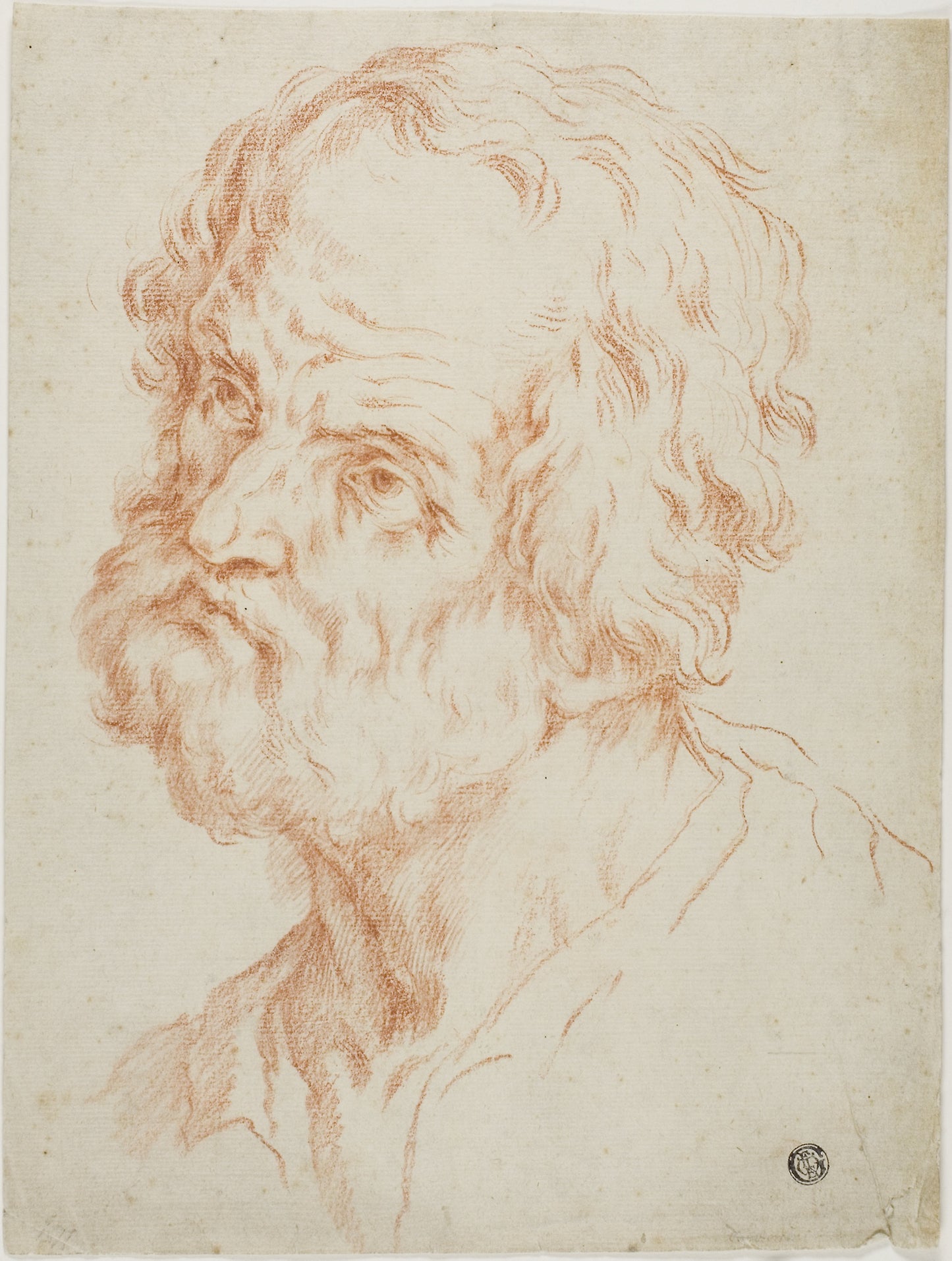 Male Head -  After Simone Cantarini,  Poster Print Wall Art