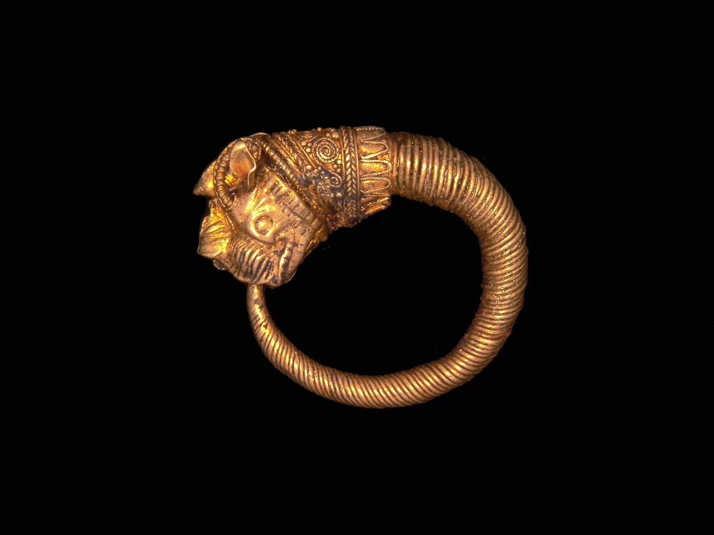 Earring with Lion Head Finial -  Greek,  Poster Print Wall Art