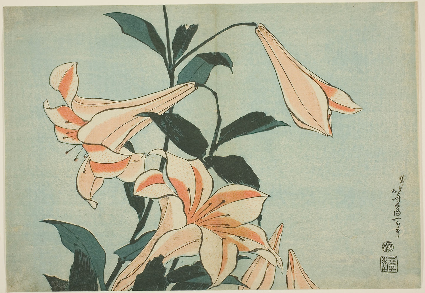 Lilies, from an untitled series of Large Flowers -  Katsushika Hokusai ?? ?? ,  Poster Print Wall Art