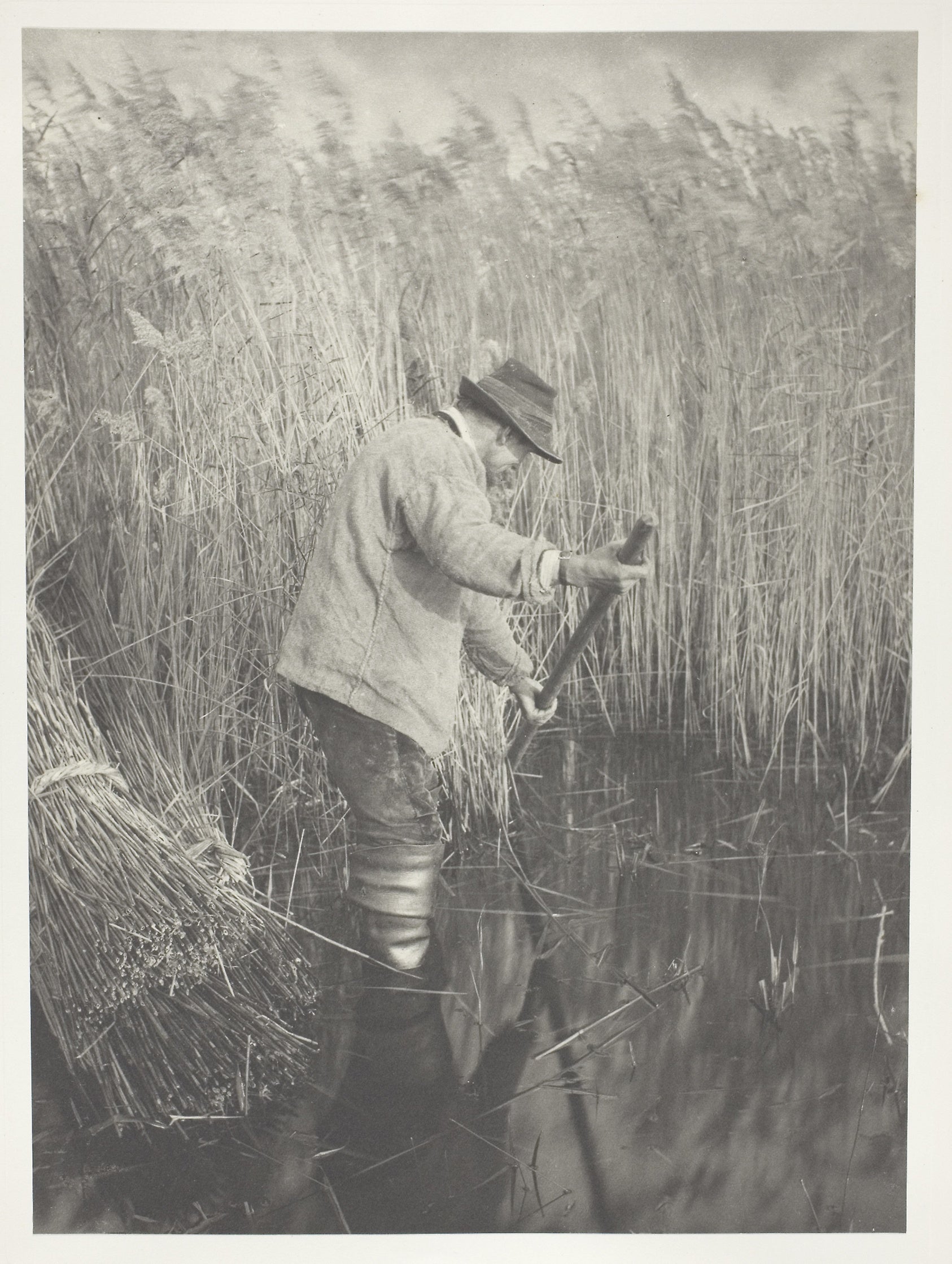 A Reed-Cutter at Work: Peter Henry Emerson,16x12"(A3) Poster