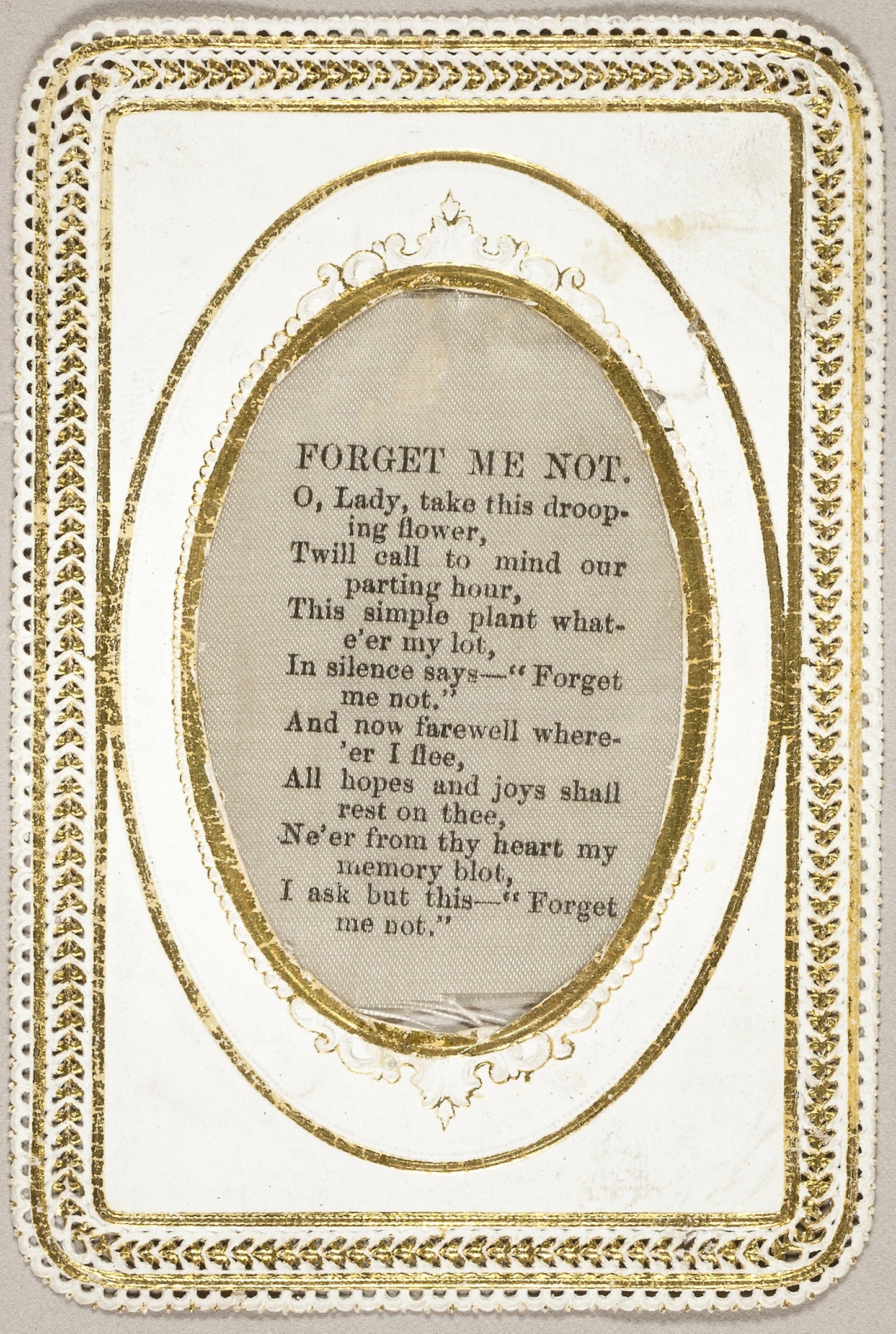 Forget Me Not (valentine) -  David Mossman,  Poster Print Wall Art